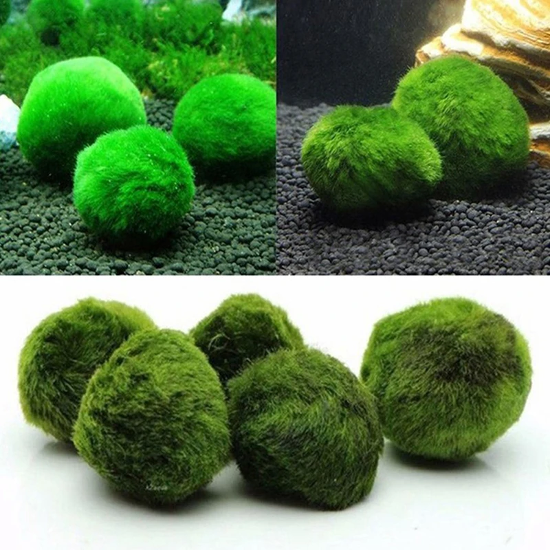 Planted Aquarium Maintenance - 1 шт. 3-4 см искусственные мховые