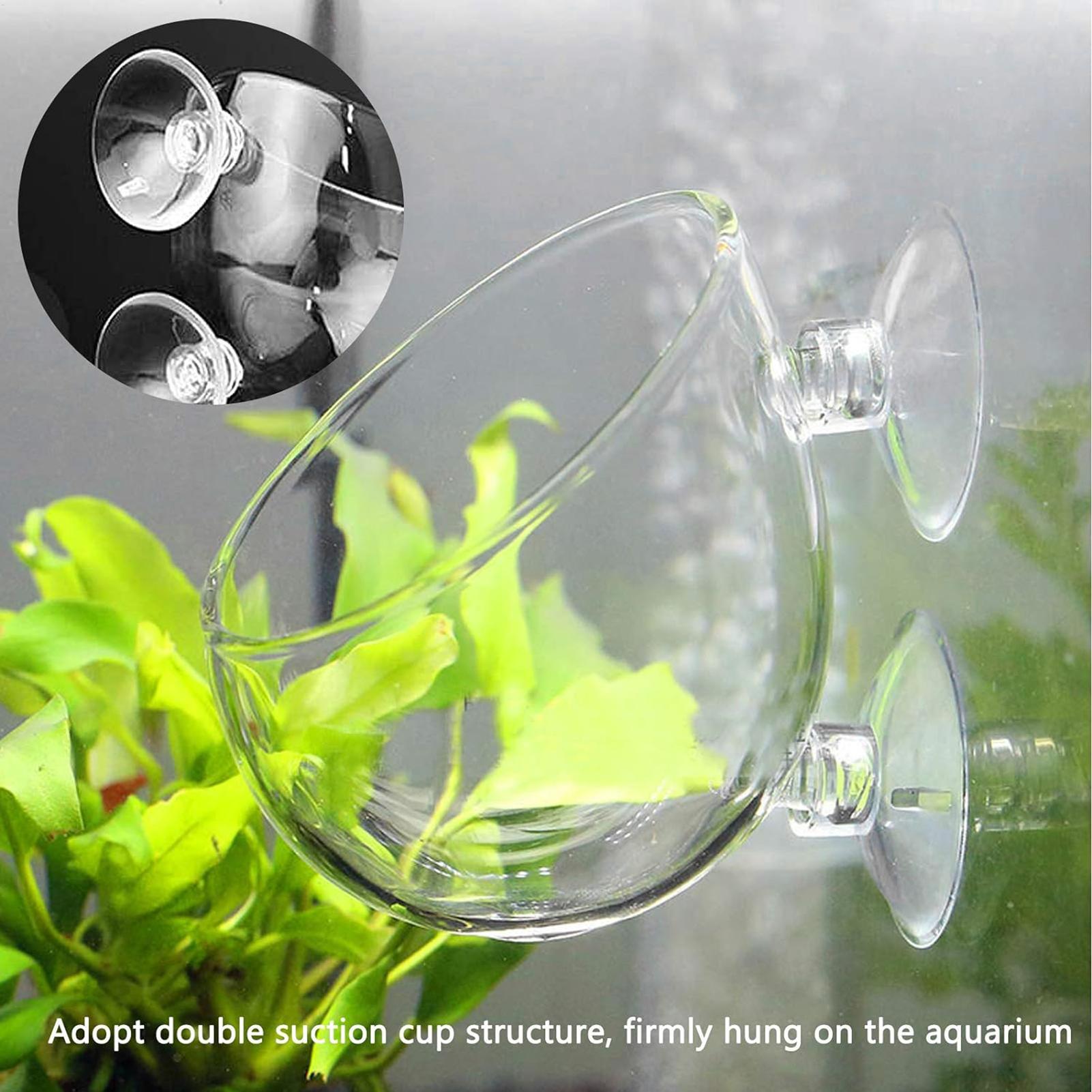 Planted Aquarium Maintenance - Стеклянный горшок для аквариумных растений с