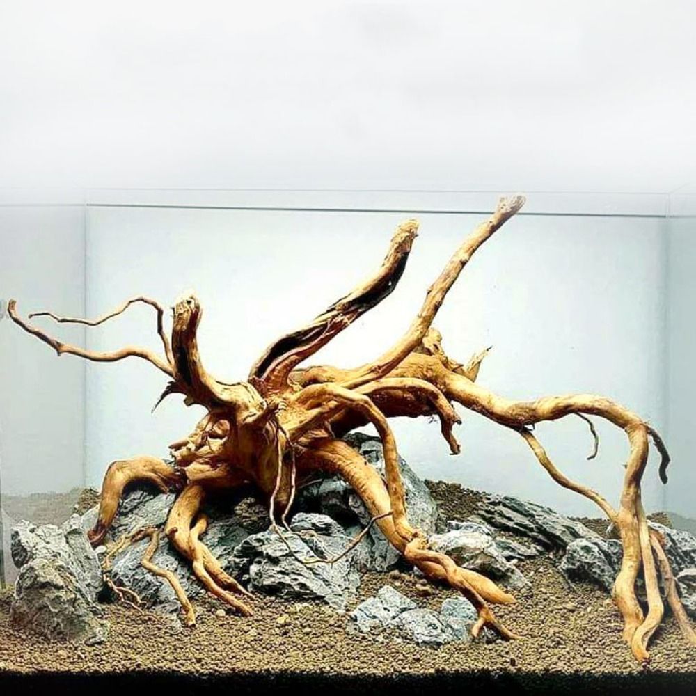 Aquarium Plant Roots - Натуральный ствол дерева, аквариумное украшение, деревянное