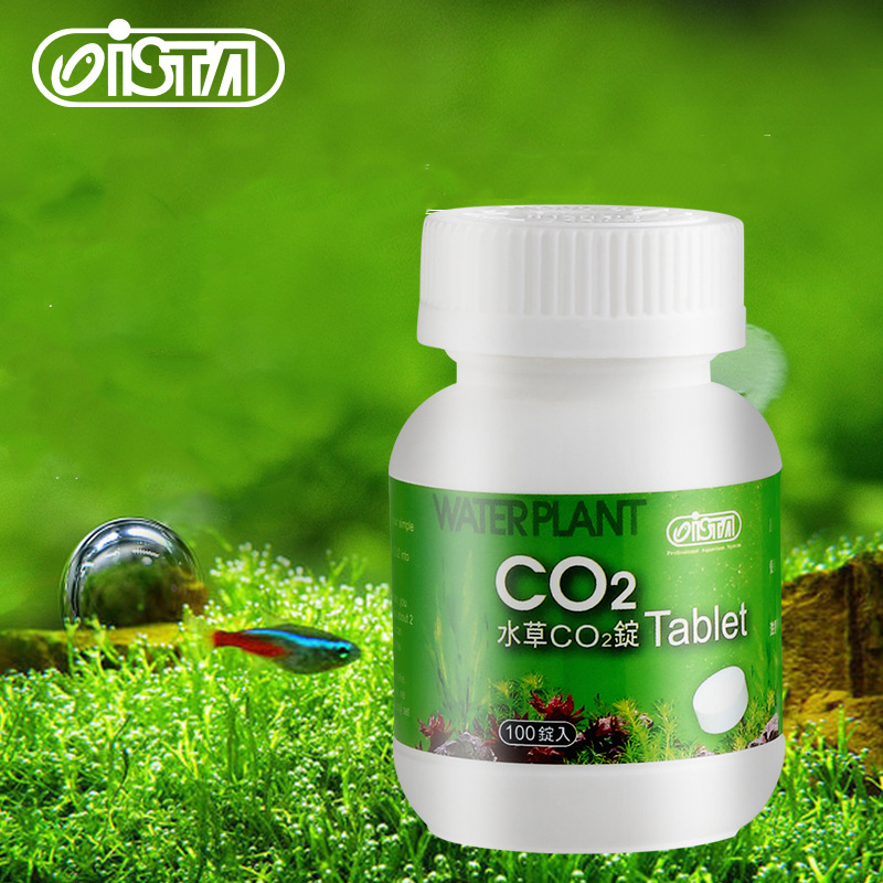 Аквариум для рыб ISTA, таблетк – обзор и цена Planted Aquarium Without Co2