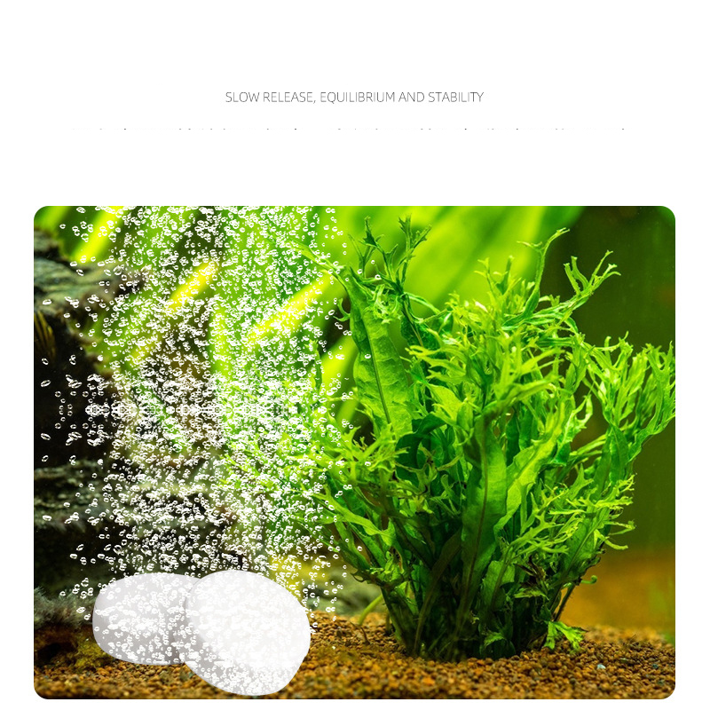 Аквариум для рыб ISTA, таблетк – обзор и цена Planted Aquarium Without Co2