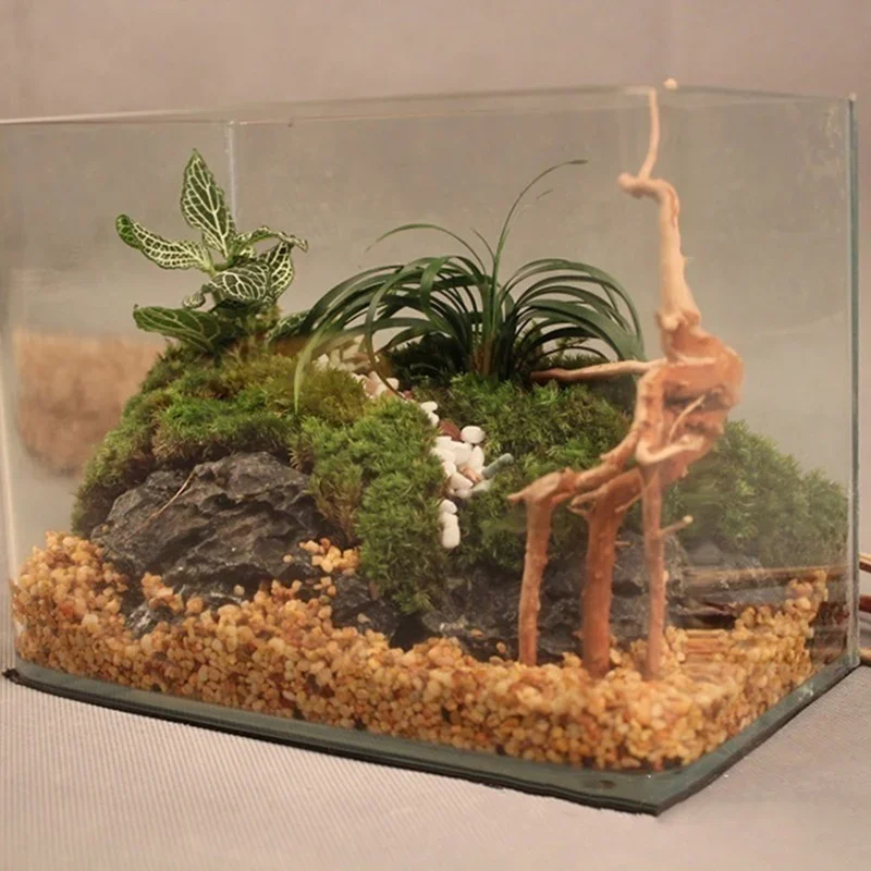 Натуральный ствол дерева Drift – обзор и цена Aquarium Plant Roots