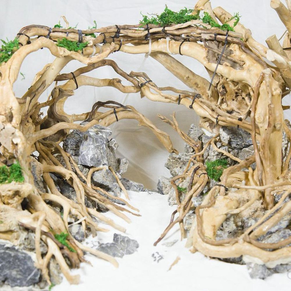 Декорация для террариума Wood  – обзор и цена Aquarium Plant Roots