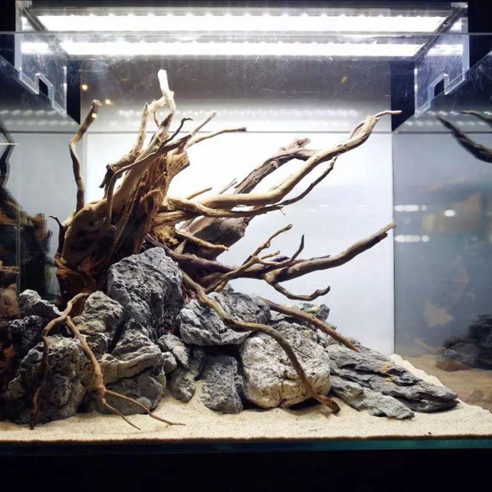 Декорация для террариума Wood  – обзор и цена Aquarium Plant Roots