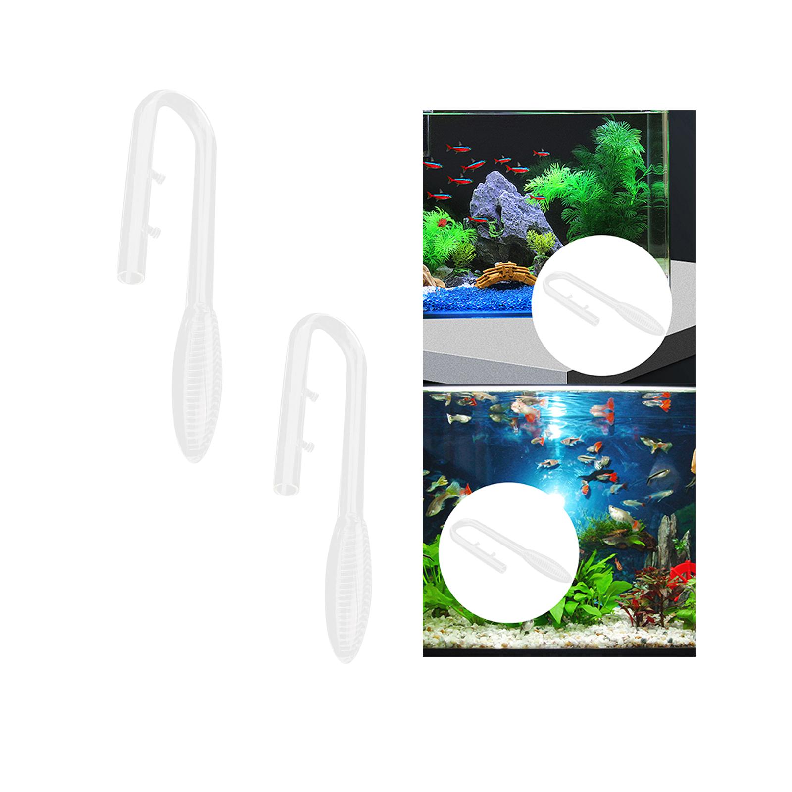 Фиолетовая стеклянная впускная – обзор и цена Aquarium Plant Violet