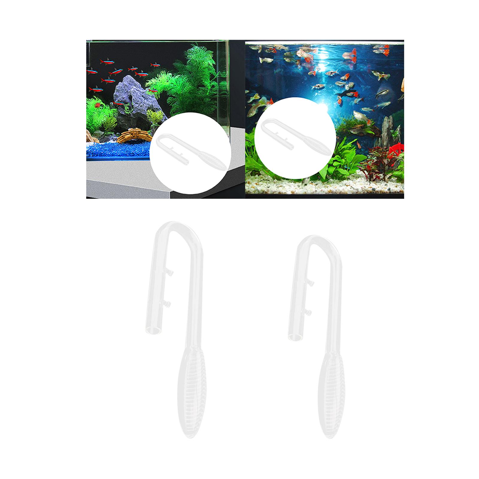Фиолетовая стеклянная впускная – обзор и цена Aquarium Plant Violet