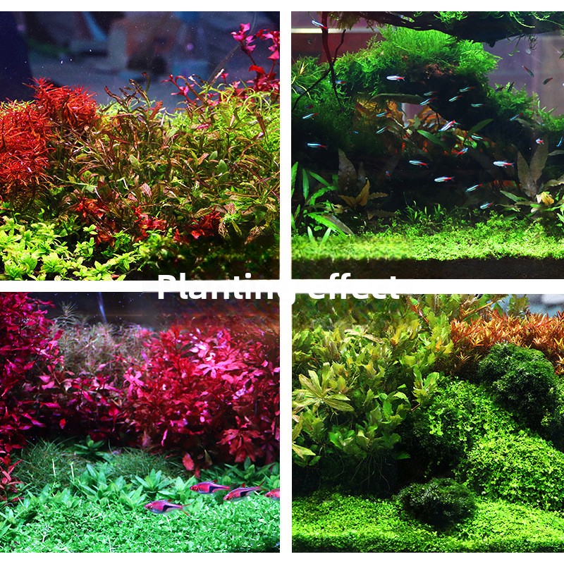 SYSENCIAGA посаженная аквариум – обзор и цена Aquarium Planted Tank Fertilizer