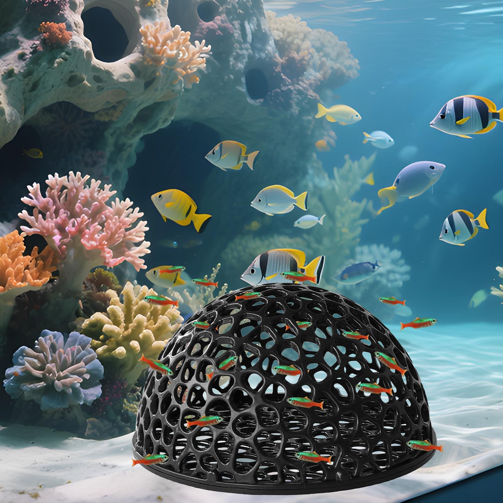 Аквариум Hiden Cave Shelter дл – обзор и цена Aquarium Plant Roots