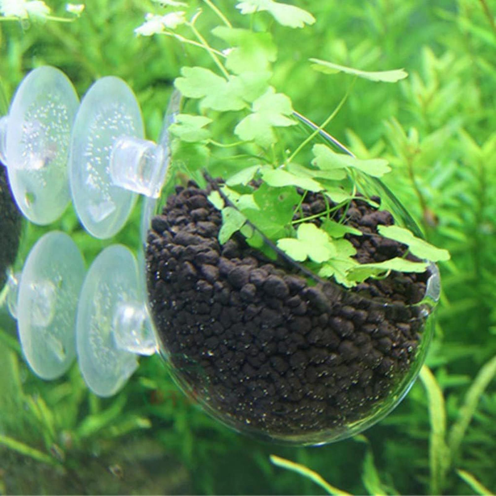 Стеклянный горшок для аквариум – обзор и цена Planted Aquarium Maintenance