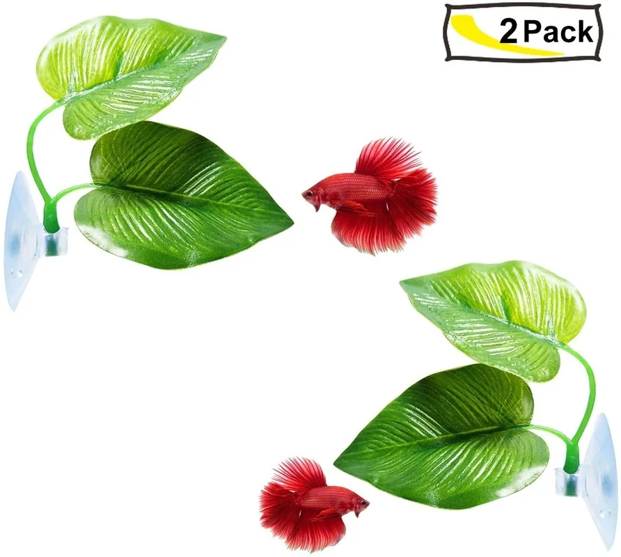 Гамак из листьев рыбы Бетта, и – обзор и цена Aquarium Plant Roots