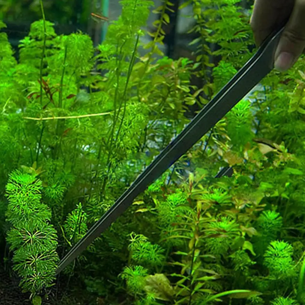 Пинцет для аквариумных растени – обзор и цена Planted Aquarium Maintenance
