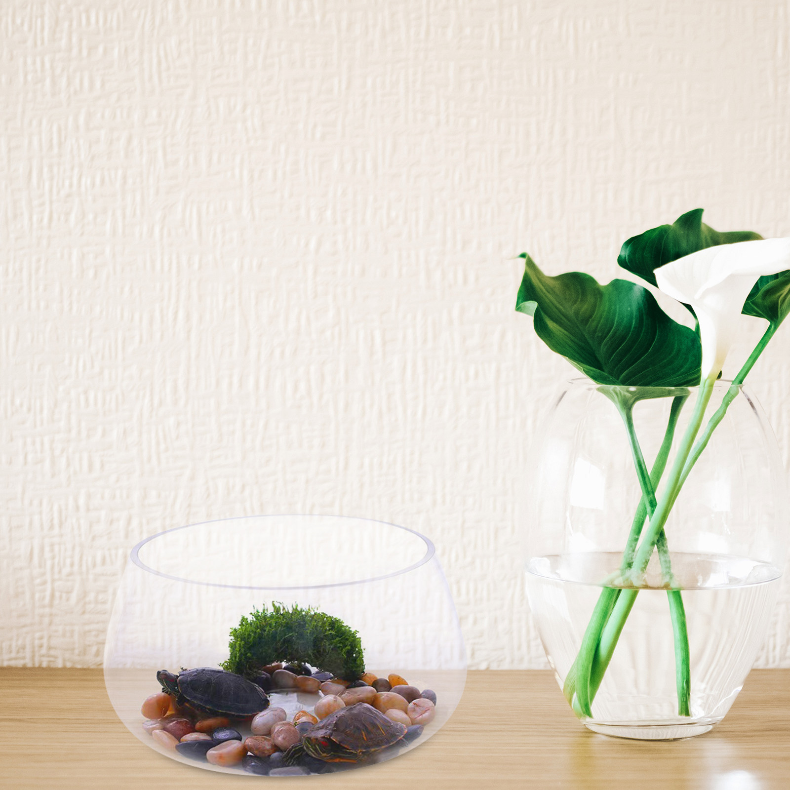 Круглый прозрачный стеклянный  – обзор и цена Aquarium Planted Shop