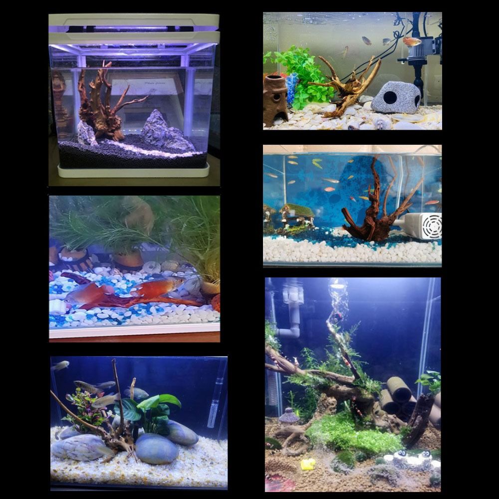 Натуральный ствол дерева, аква – обзор и цена Aquarium Plant Roots