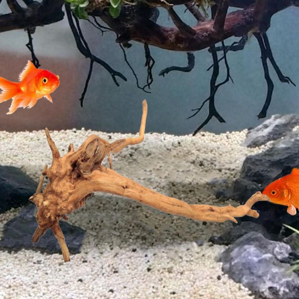 Декоративный пней для аквариум – обзор и цена Aquarium Plant Roots