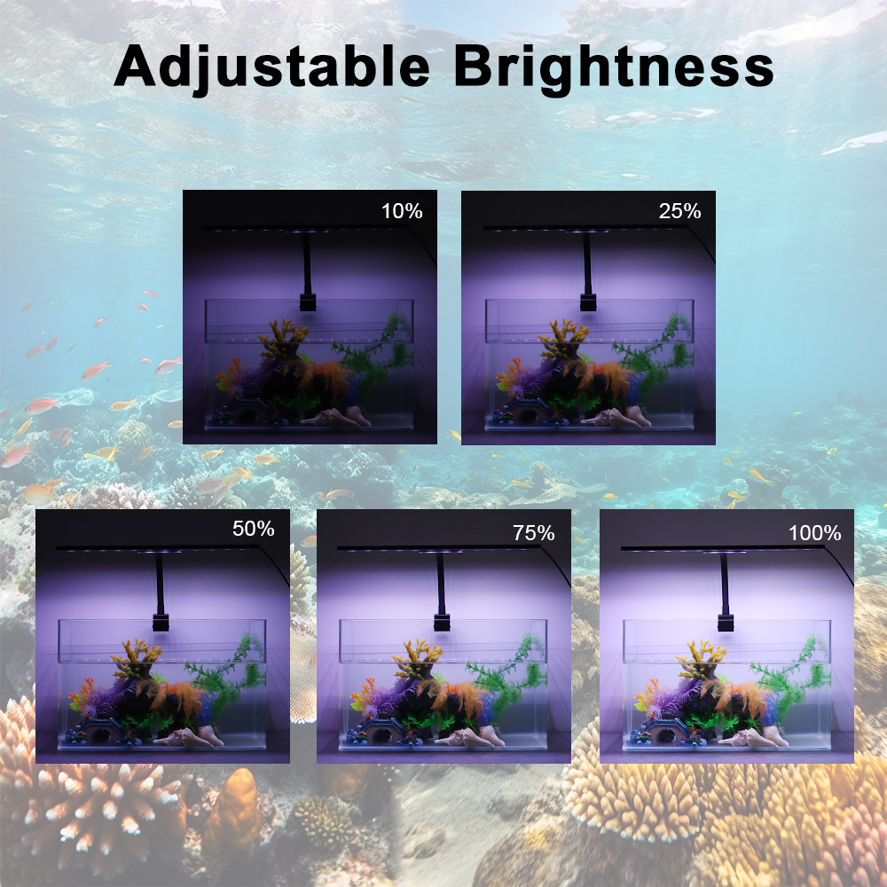 Светодиодный светильник для ак – обзор и цена Planted Aquarium Cycling