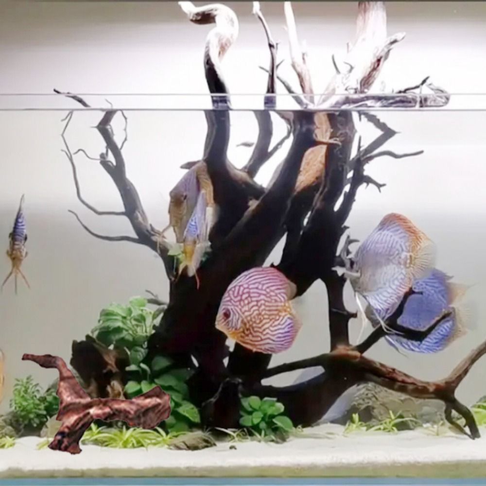Креативные коряги из кораллово – обзор и цена Aquarium Plant Roots