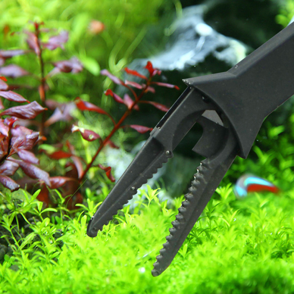 Пинцет для аквариумных растени – обзор и цена Planted Aquarium Maintenance