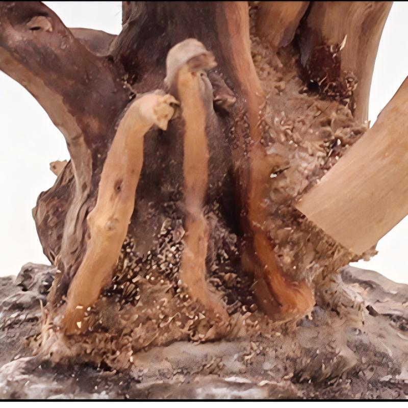 1 шт. аквариум, ландшафтные де – обзор и цена Aquarium Plant Roots