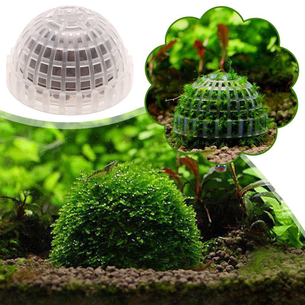 1 шт., аксессуары для водных ж – обзор и цена Planted Aquarium Maintenance