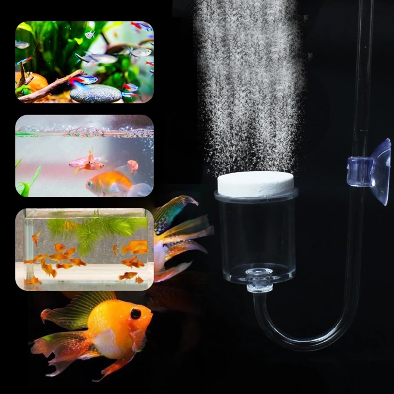 4 шт./набор, соленоидный регул – обзор и цена Planted Aquarium Maintenance